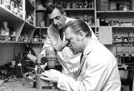 MICHAEL BOUNOCORE en 1955