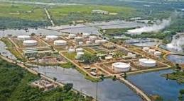 Descubrimiento de Campo Caño Limón