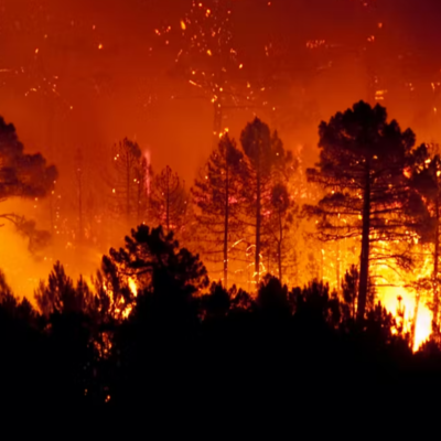 Timeline: Incendios forestales