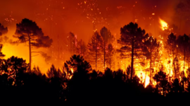 Timeline: Incendios forestales