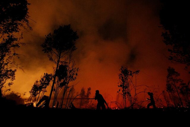 Incendio en el Parque Nacional de Sebangau en la provincia de Kalimantan Central, Indonesia