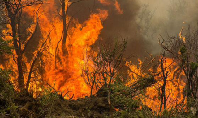 Incendio en Chubut, Argentina