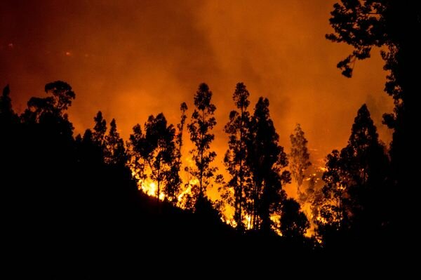 Incendio en Chile