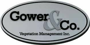 Primeras firmas extranjeras exportadoras de tabaco