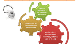 Timeline: Linea de tiempo de TGS