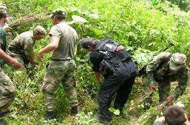 Fortalecimiento del narcotráfico