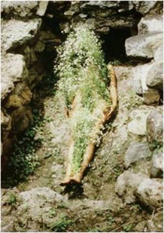 Ana Mendieta. Flowers on Body, 1973