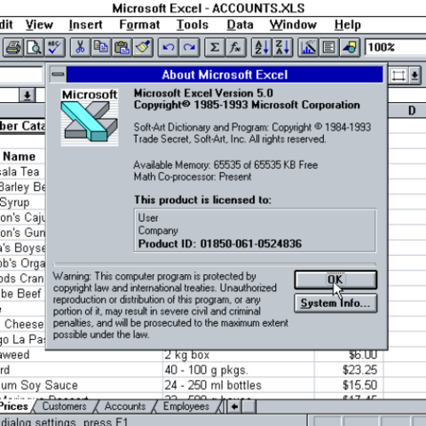 MICROSOFT EXCEL 5.0
