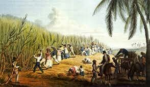 The Dutch Engage in Slave Trade