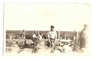 Inmigraciones de masas: llegada masiva de inmigrantes