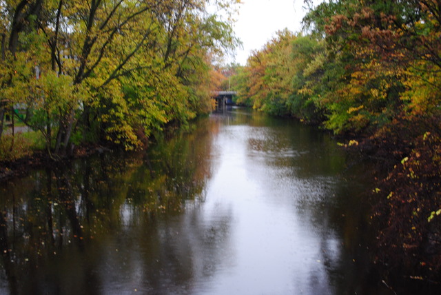 Red Cedar River Picture 5