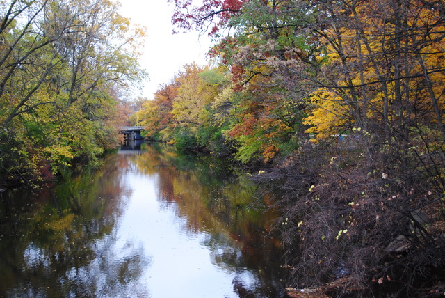 Red Cedar River Picture 6