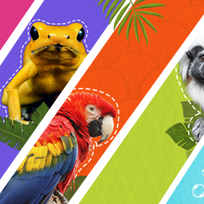 Timeline: Algunos animales extintos a través del tiempo