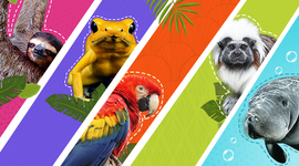 Timeline: Algunos animales extintos a través del tiempo