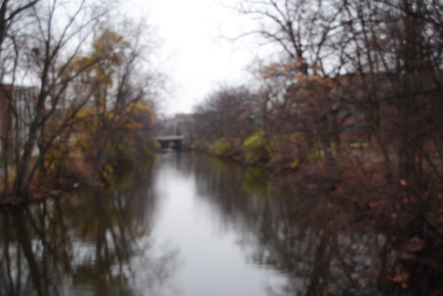 Red Cedar River Picture 9