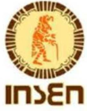 Creación del INSEN