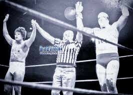 Caida de la lucha libre