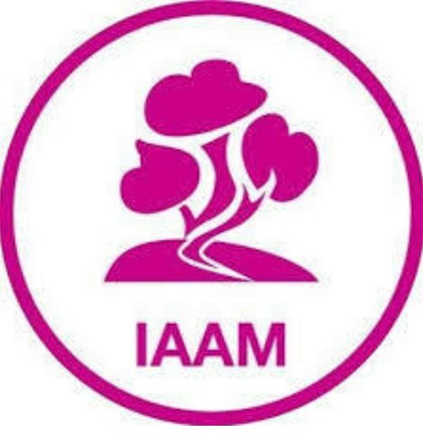 IAAM Instituto Para la atención de los adulos mayores en el Distrito Federal