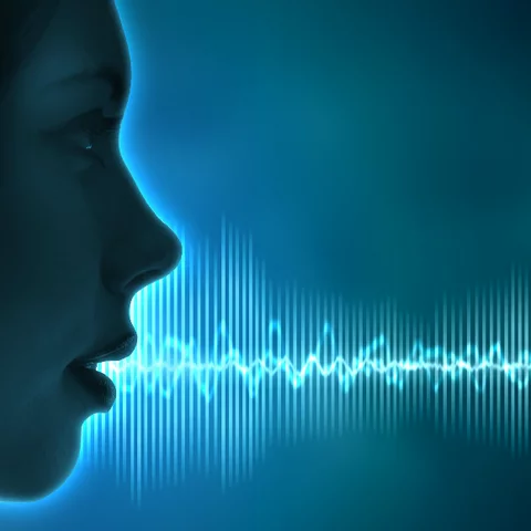 1970 COMANDOS DE VOZ