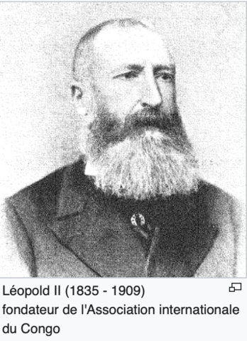 Association Internationale du Congo