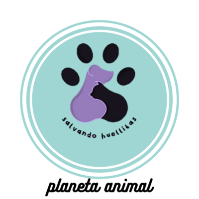 Timeline: PLANETANIMAL