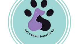 Timeline: PLANETANIMAL