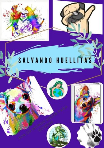 ELABORACION DEL POSTER