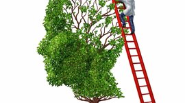 Timeline: Introducción a la estimulación y rehabilitación