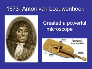 Anton Van Leeuwenhoek