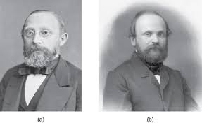 Remark y Virchow