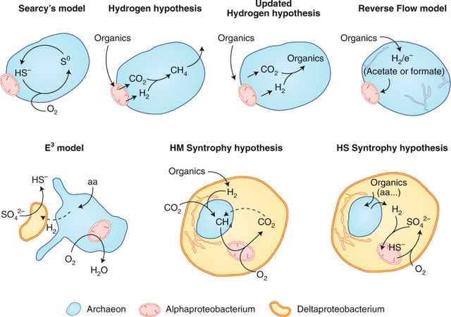 López-García & Moreira