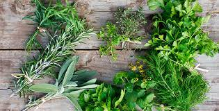 Incorporación de hierbas aromaticas a platos: Siglo XIV