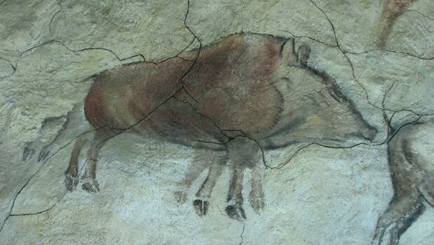 Jabalí de ocho patas