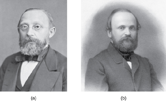 Remak y Virchow