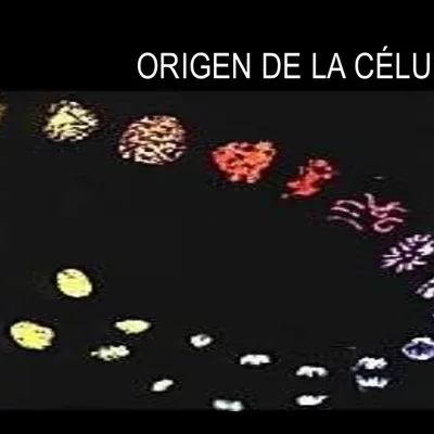 Timeline: Teorías del origen de la célula