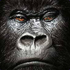 THE GORILLA ADVERT PREMIERS