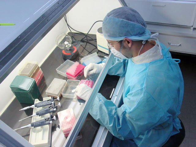 Nace la Toxicología Judicial o Forense