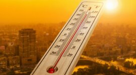 Timeline: Catástrofes naturales (Ponisio, Martinez, Savoretti)