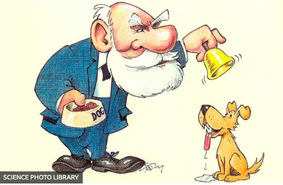 Conexionista o Asociacionista John Watson (1878-1927)