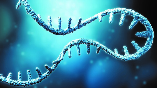 mRNA