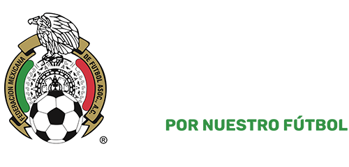 Nacimiento de la FMF