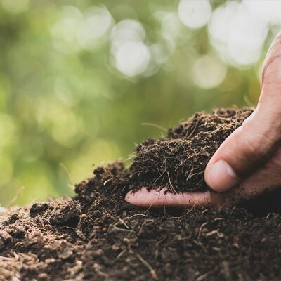 Timeline: HISTORIA DEL SUELO