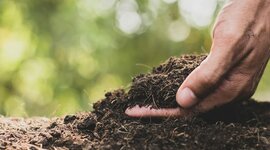 Timeline: HISTORIA DEL SUELO