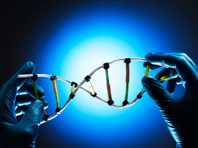 Primer gen de humano