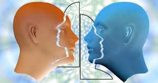 Grupos de Investigación