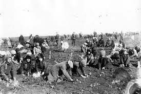 End of Serfdom and Rise of Russian Peasants