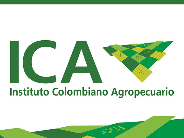 Bucaramanga (Colombia)