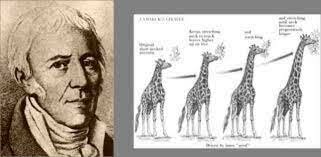 Monet, Jean Baptiste de caballero de Lamarck