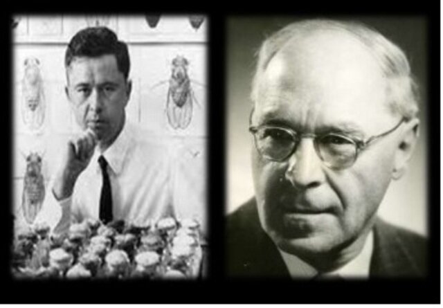 ¡Peligro, presencia de Rayos X!