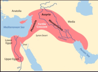 Trade between India-Egypt and Phoenicia-Mesopotamia